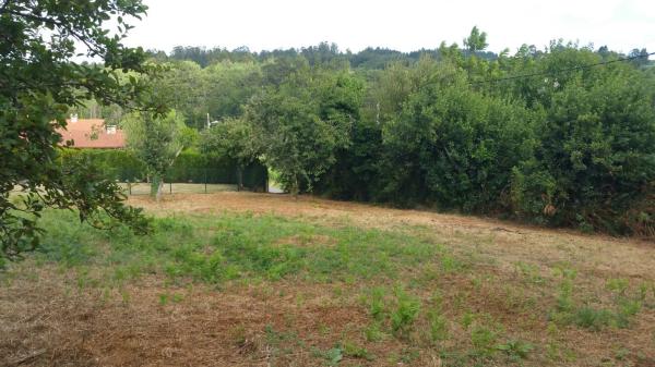Terreno en Brexo Lema photo 4