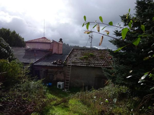 Terreno en lugar de miodelo photo 2