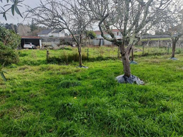 Terreno en Aldea Samoedo photo 2