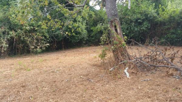 Terreno en Brexo Lema photo 2