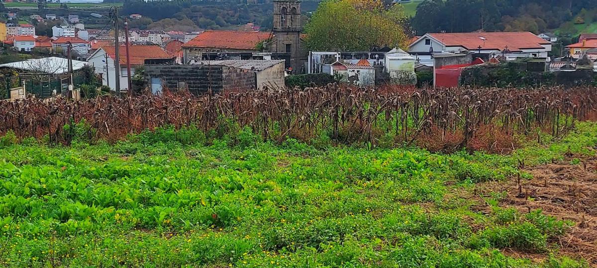 Land for sale in Culleredo, A Coruña photo 4