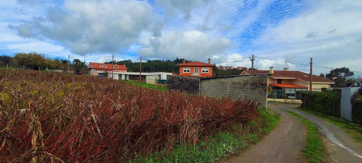 Land for sale in Culleredo, A Coruña photo 5