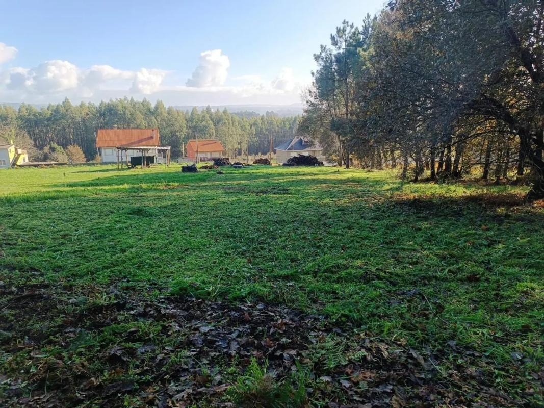 Land for sale in Bergondo, A Coruña photo 2
