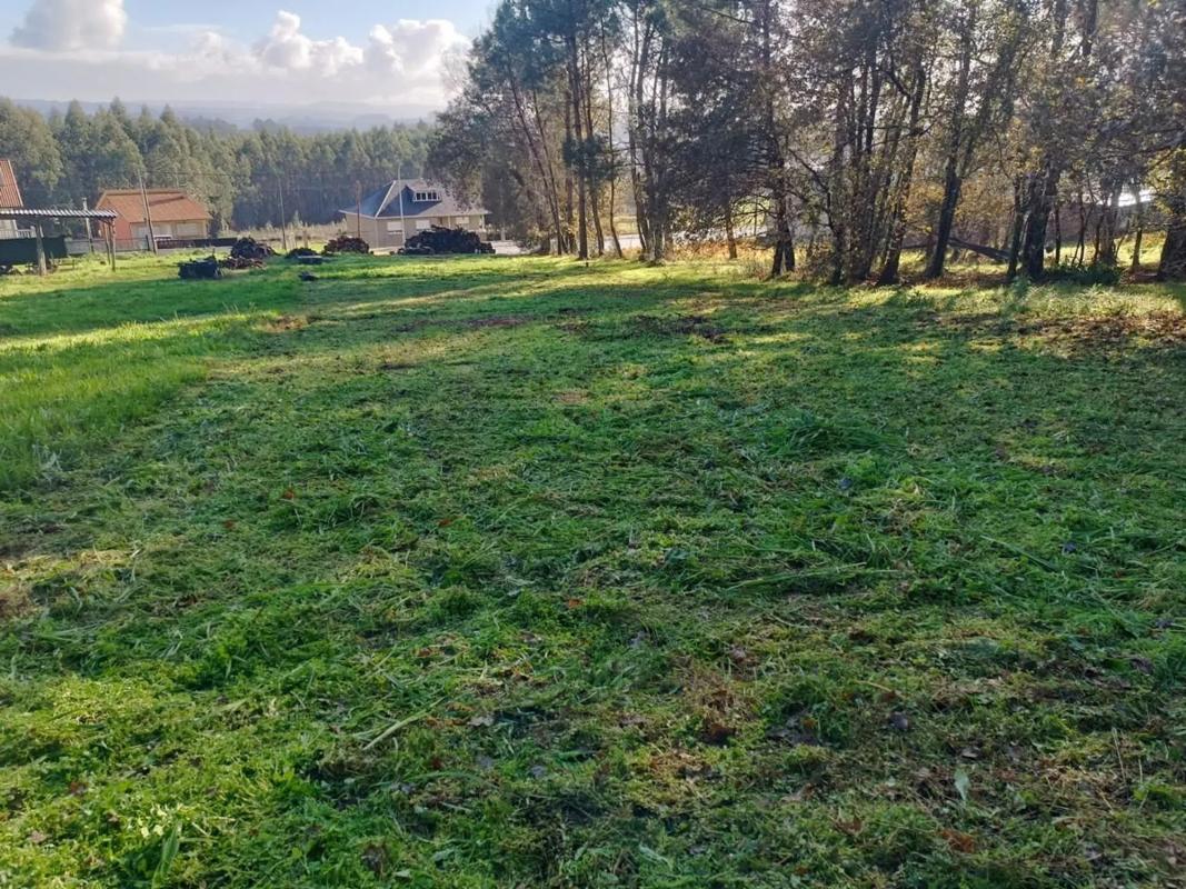 Land for sale in Bergondo, A Coruña photo 3