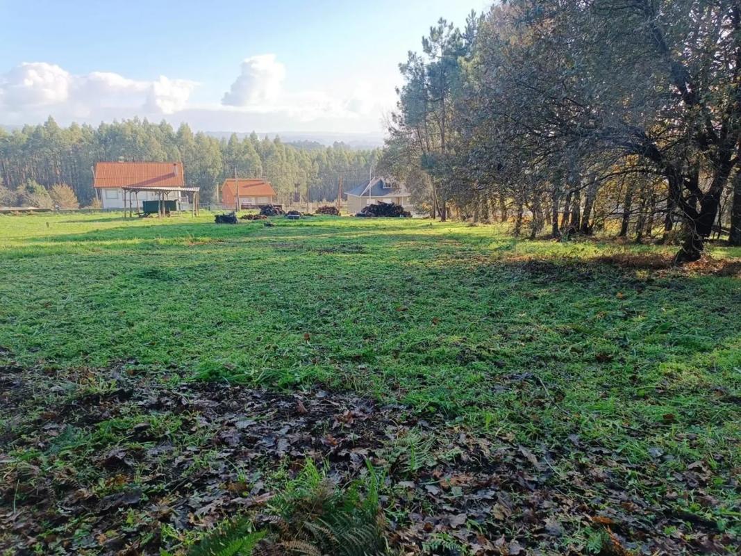 Land for sale in Bergondo, A Coruña photo 4