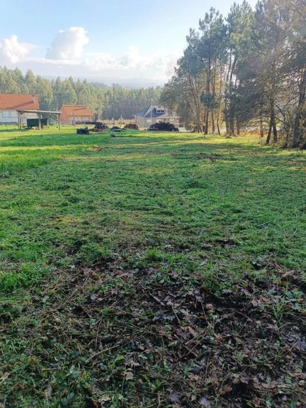 Land for sale in Bergondo, A Coruña photo 5