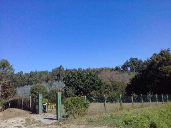 Terreno en Lugar Pagueira, 7 photo 2