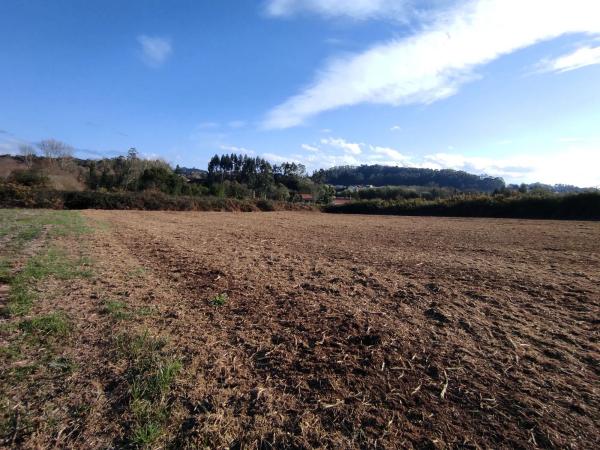 Terreno en Mera-Serantes photo 1