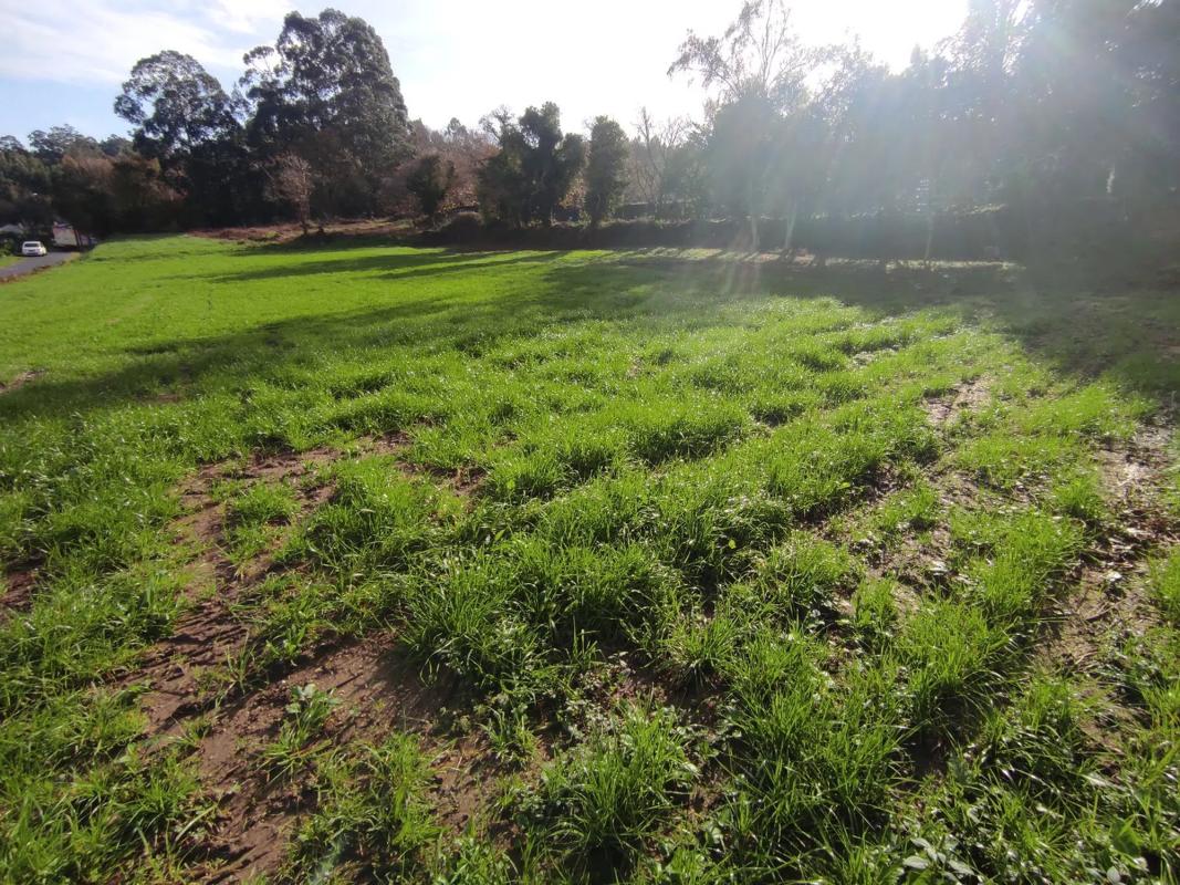 Terreno en venta en Oleiros, A Coruña photo 3