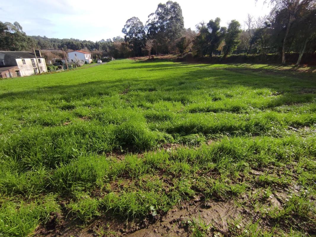 Terreno en venta en Oleiros, A Coruña photo 5
