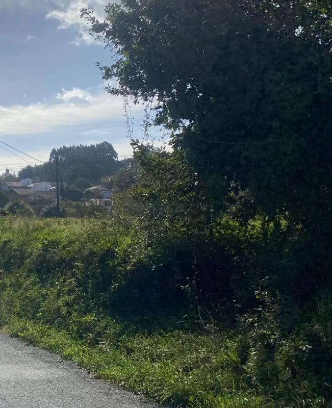 Land for sale in Bergondo, A Coruña photo 1