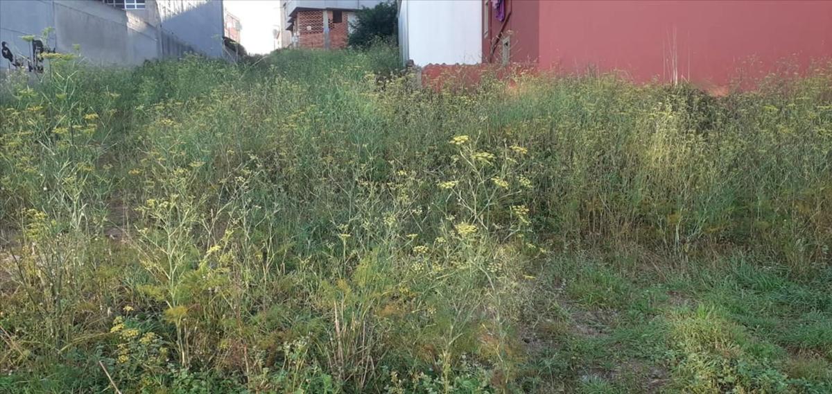 Участок земли на продажу в Артеихо, Ла-Коруня photo 4