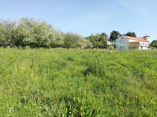 Terreno en Bergondo photo 2