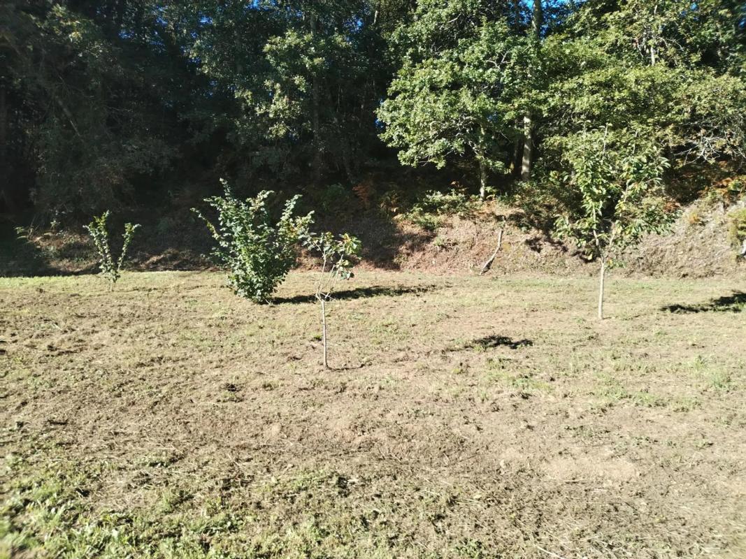 Terreno en venta en Carral, A Coruña photo 5