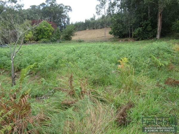 Terreno en Espirito Santo photo 2