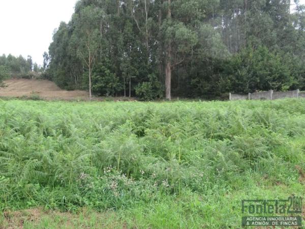 Terreno en Espirito Santo photo 3