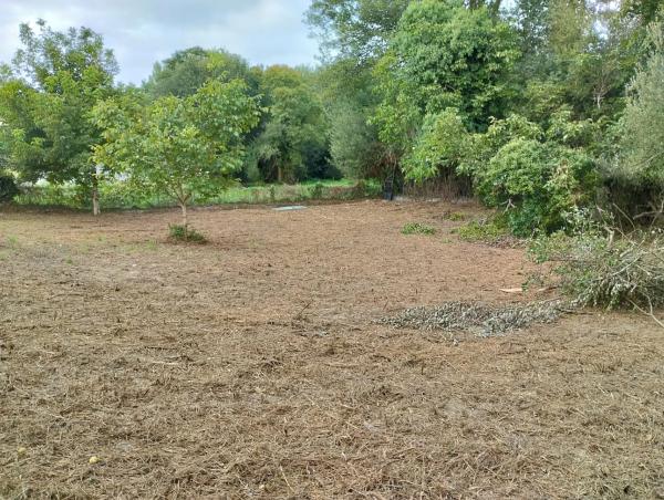 Terreno en Aldea Tarabelo s/n photo 1
