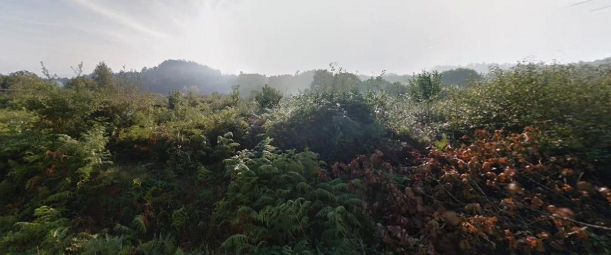 Land for sale in Bergondo, A Coruña photo 5