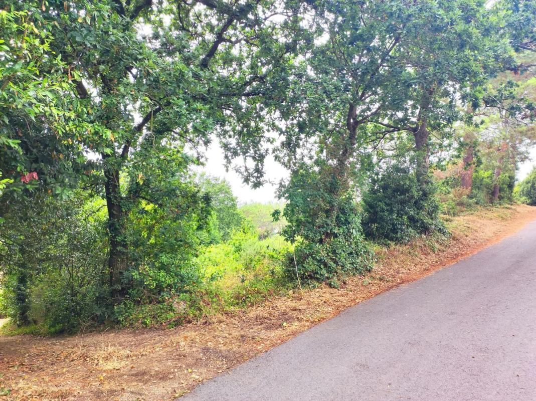 Terreno en venta en Culleredo, A Coruña photo 1