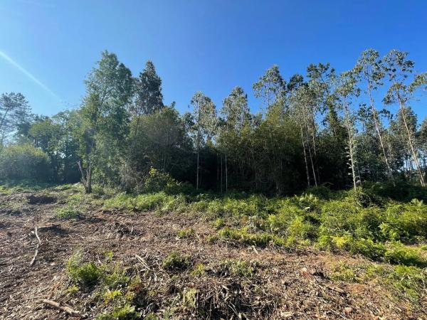 Terreno en Agra Bergondo, 408 Parcela photo 2