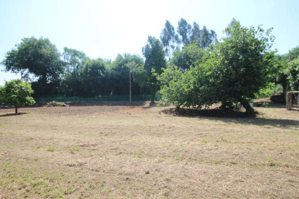 Terreno en Lugar Quintan, 15 photo 4