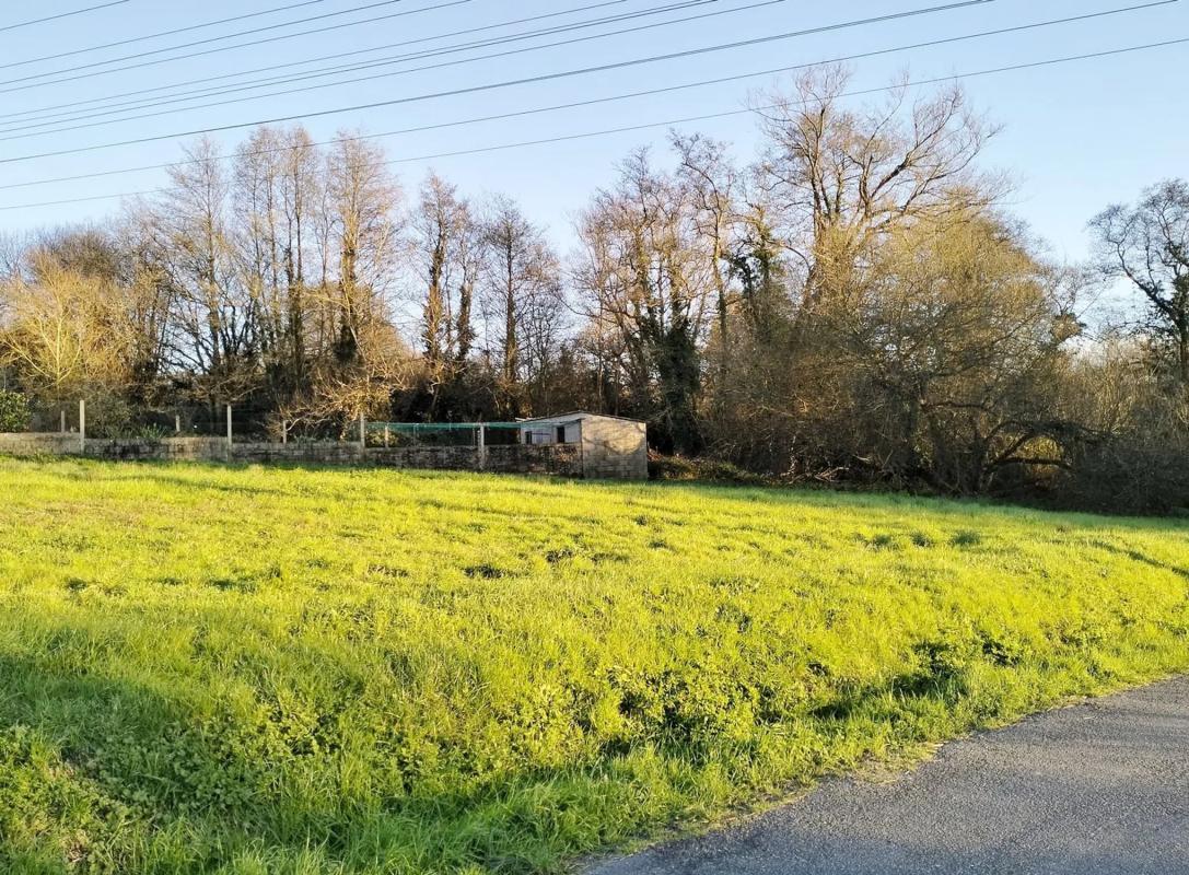 Land for sale in Oleiros, A Coruña photo 5