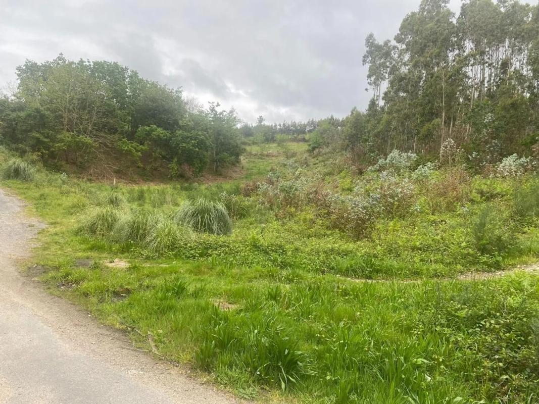 Terreno en venta en Culleredo, A Coruña photo 1