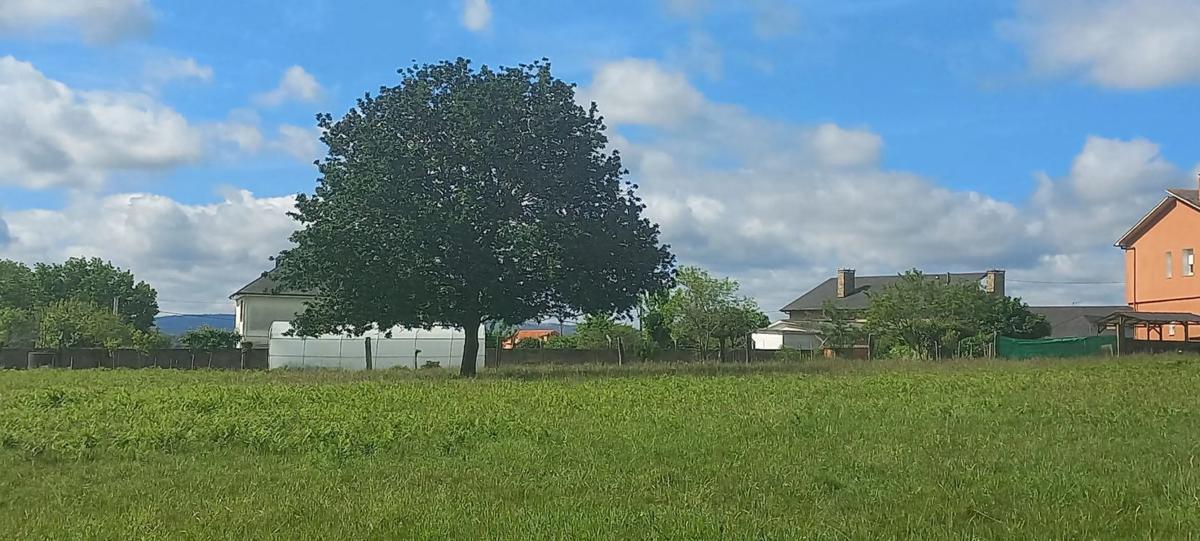 Terreno en venta en Cambre, A Coruña photo 3