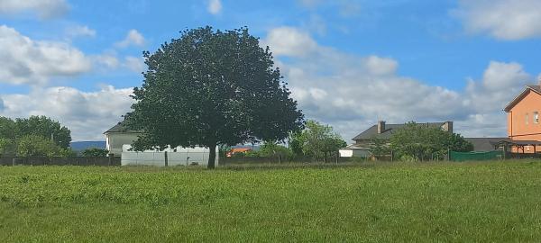 Terreno en calle Pombo photo 3