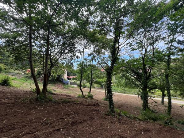 Terreno en Punta Canide s/n photo 1