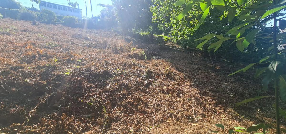 Terreno en venta en Oleiros, A Coruña photo 2