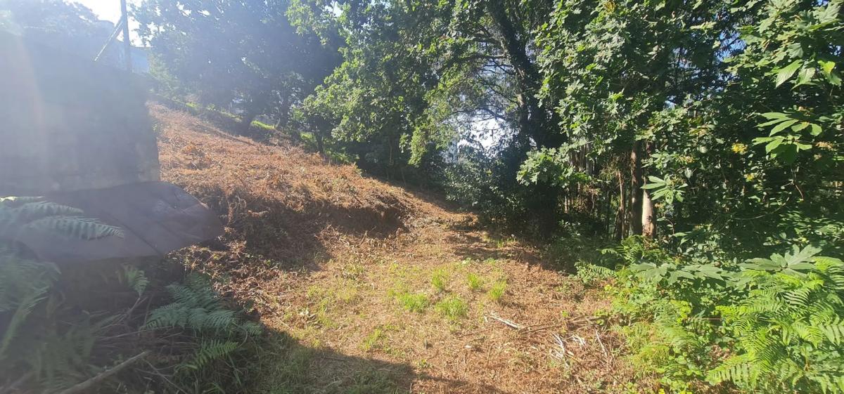 Terreno en venta en Oleiros, A Coruña photo 5