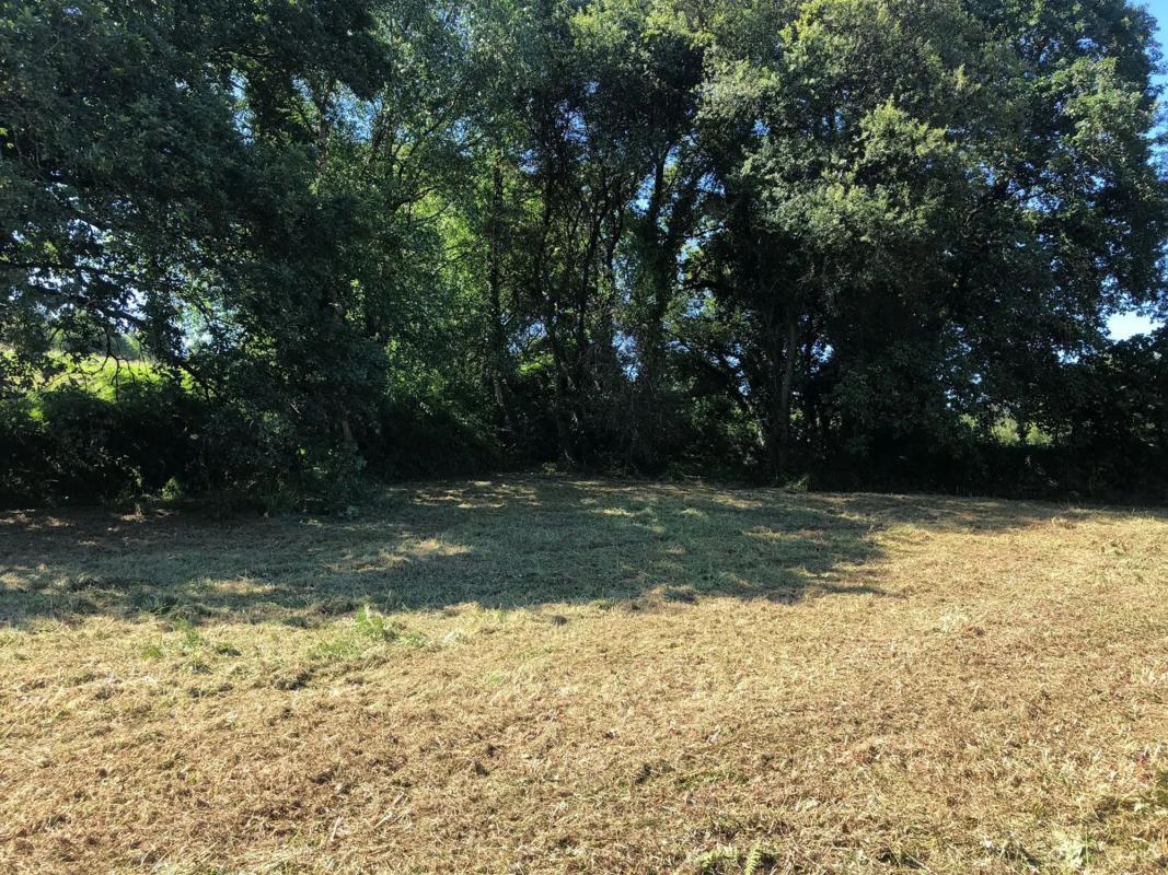Land for sale in Cambre, A Coruña photo 3