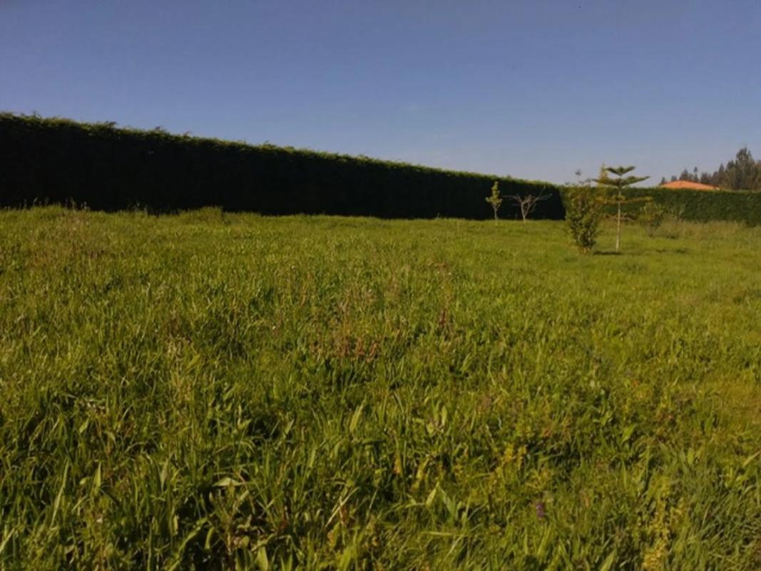 Terreno en venta en Carral, A Coruña photo 1