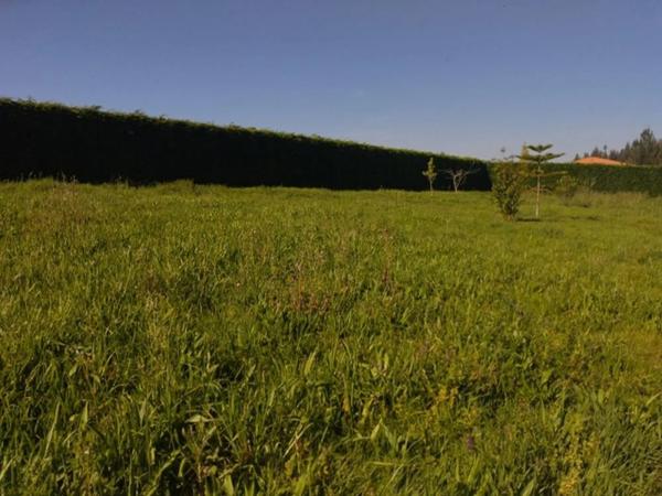 Terreno en Lugar de Ameas s/n photo 1