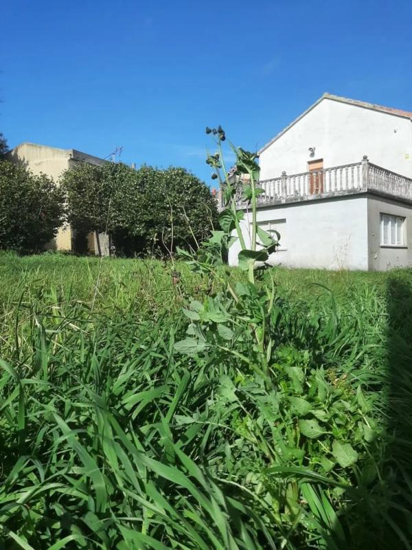 Terreno en venta en Culleredo, A Coruña photo 2