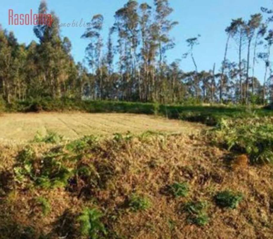 Terreno en venta en Bergondo, A Coruña photo 4