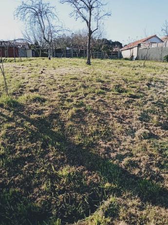 Terreno en Aldea Amexeiral, 23 photo 1