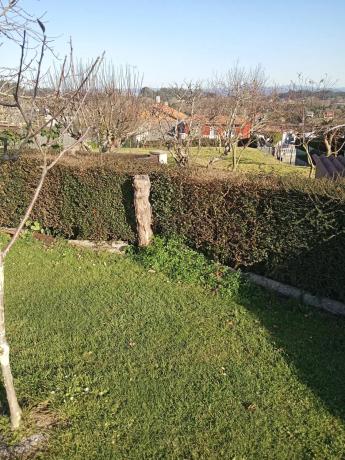 Terreno en Aldea Amexeiral, 23 photo 2