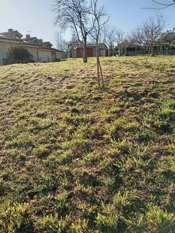 Terreno en venta en Sada, A Coruña photo 3