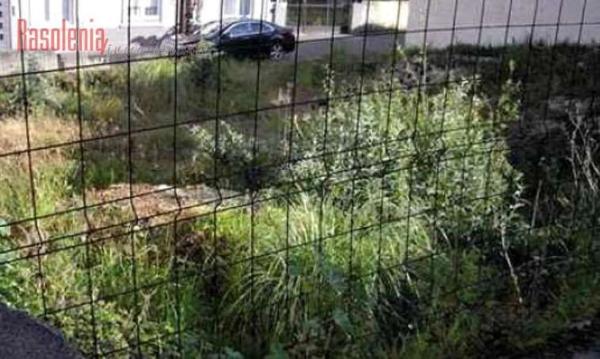 Terreno en calle Mon Vasco s/n photo 3