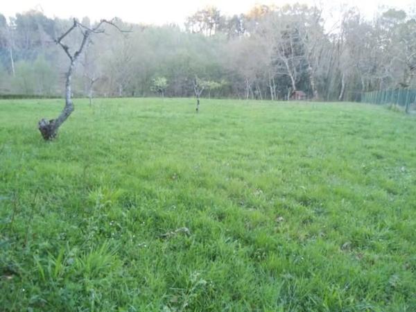 Terreno en Pagueira photo 1
