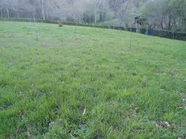 Terreno en Pagueira photo 3