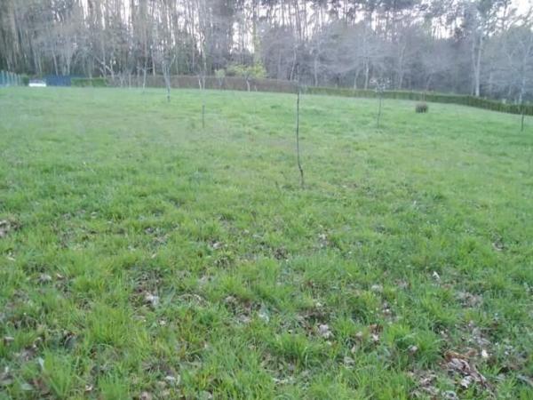 Terreno en Pagueira photo 4