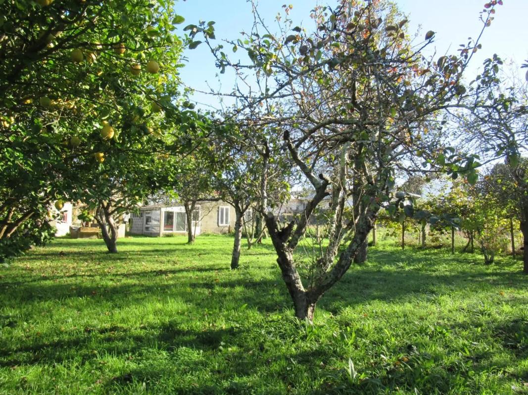 Terreno en venta en Oleiros, A Coruña photo 4