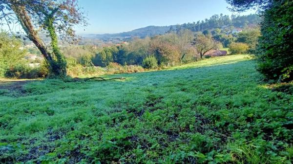 Terreno en camino Celas photo 1