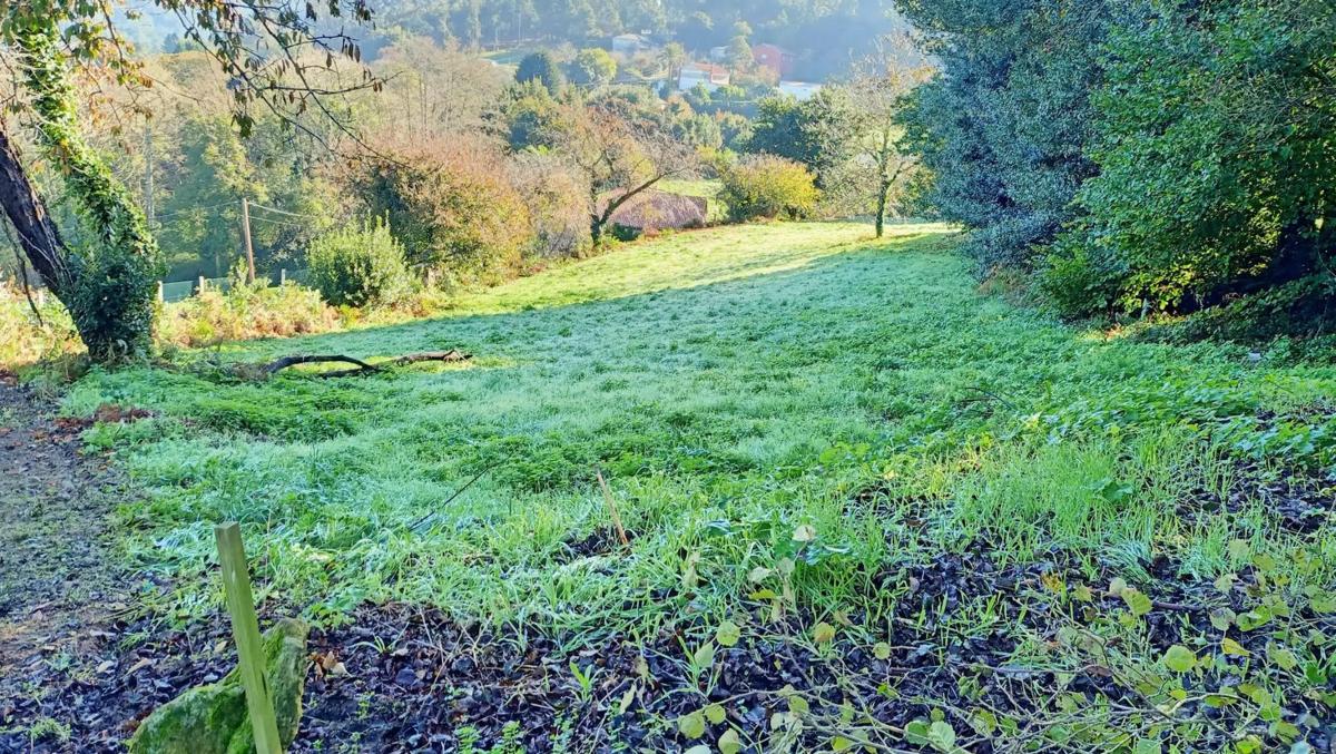 Terreno en venta en Culleredo, A Coruña photo 2