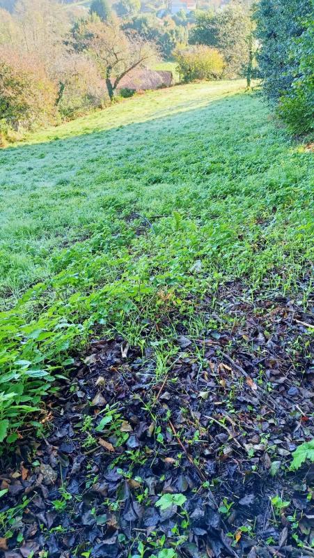 Terreno en venta en Culleredo, A Coruña photo 4