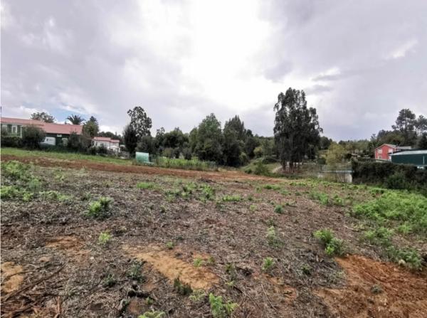 Terreno en Carrio photo 2