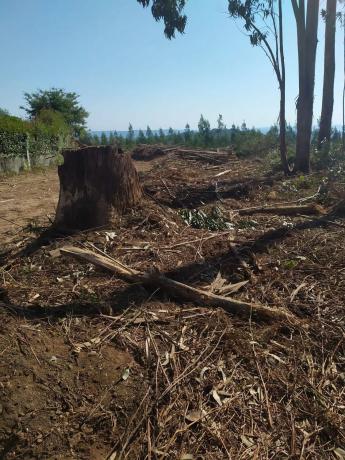 Terreno en N-vi, km 588 photo 2